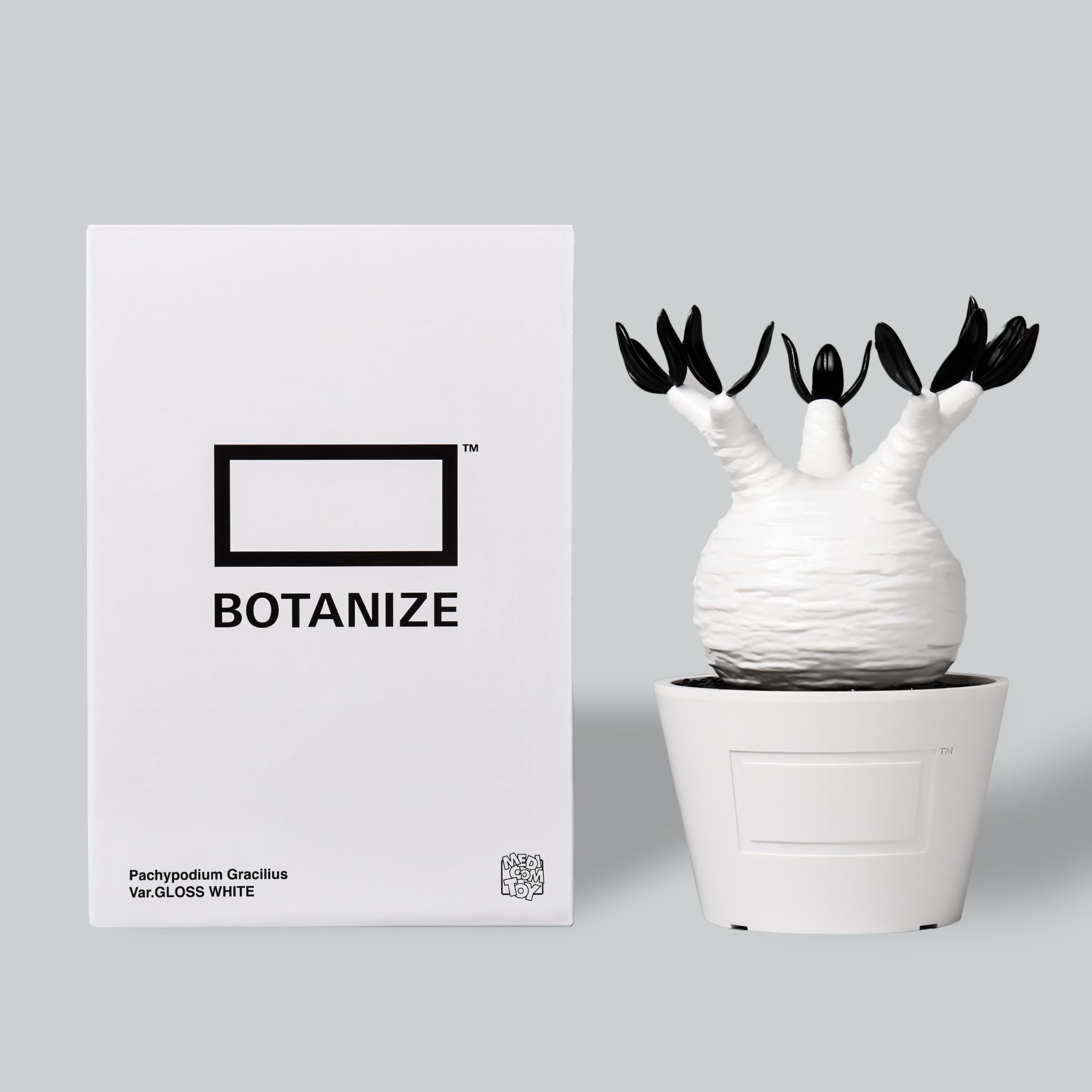 Amazon.co.jp: MEDICOM TOY × BOTANIZE 植物フィギュア, グロス